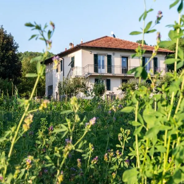 Carlo Alberto B&B,位于加维的酒店