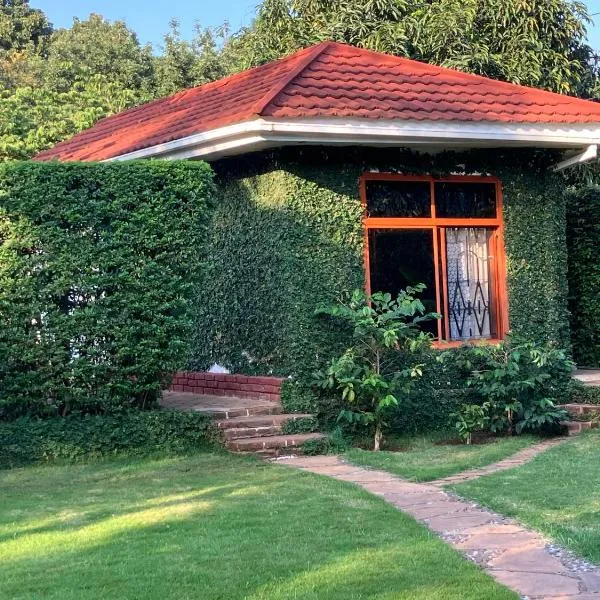 Barazani Garden House，位于莫希的酒店