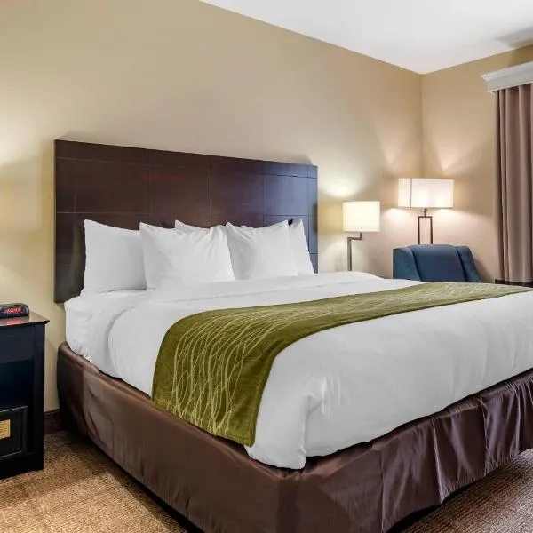 Comfort Inn & Suites Scott-West Lafayette，位于Scott的酒店