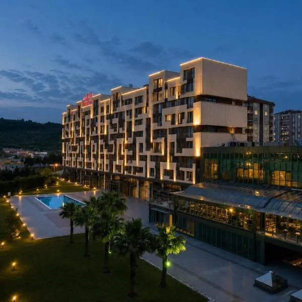 Miracle Istanbul Asia Airport Hotel & Spa，位于伊斯坦布尔的酒店