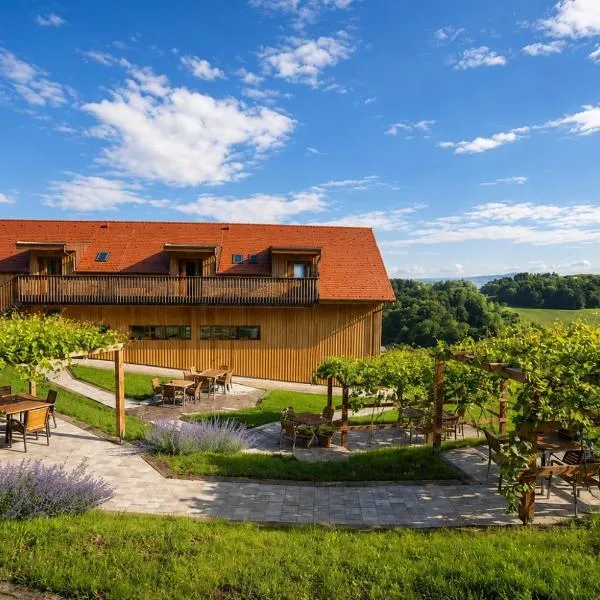 Vino Valdhuber Apartments，位于Svečina的酒店