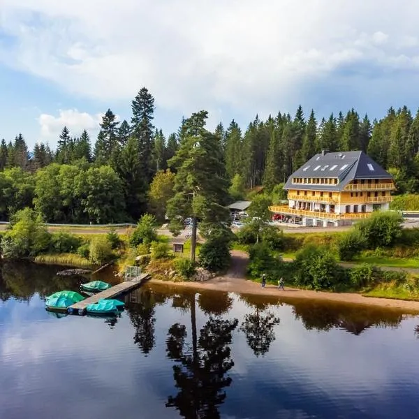 Köhlerei am See，位于费尔德伯格的酒店