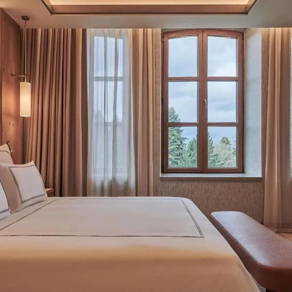 Swissotel Uludag Bursa，位于伯萨的酒店