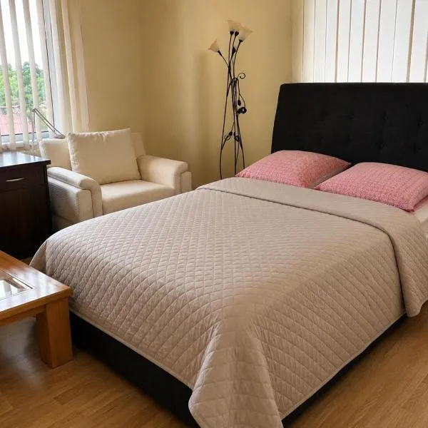 Venta City Apartment，位于Venta的酒店