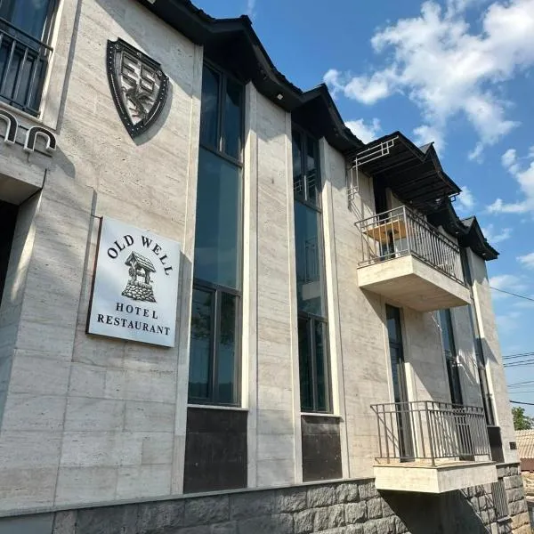 Old Well Hotel，位于萨克德佐尔镇的酒店