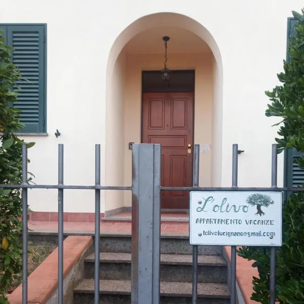L'OLIVO appartamento turistico，位于卢奇尼亚诺的酒店