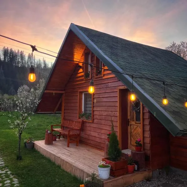 EscapeTinyCabin by IezerVenture，位于Lereşti的酒店