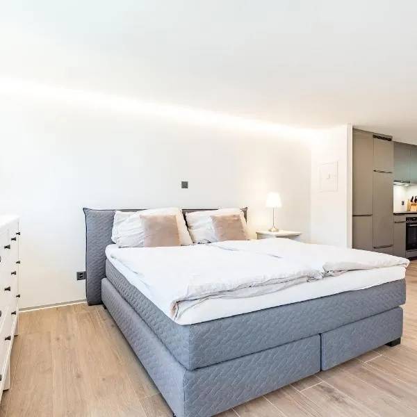 Renoviertes Studio oberhalb Visp mit Balkon und Bergblick，位于菲斯普的酒店