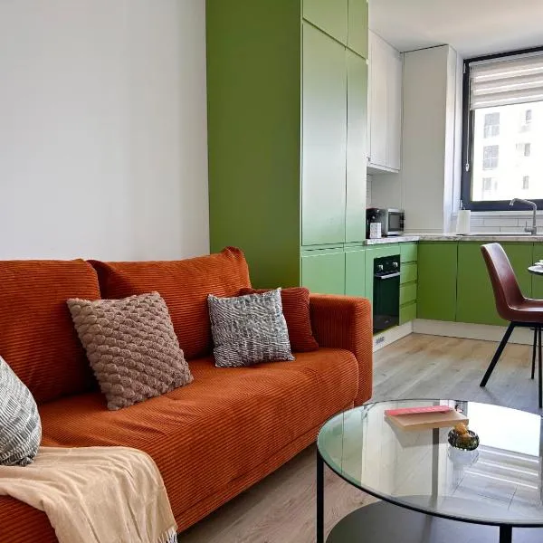 V'One - Bright & Spacious Apartment - Free Parking，位于蒂米什瓦拉的酒店