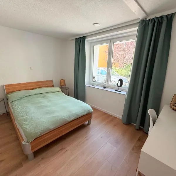Ferienwohnung in Merzig City an der Saar，位于梅尔齐希的酒店