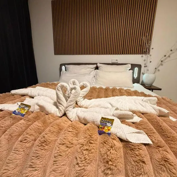 Eibisch Apartments，位于帕绍的酒店