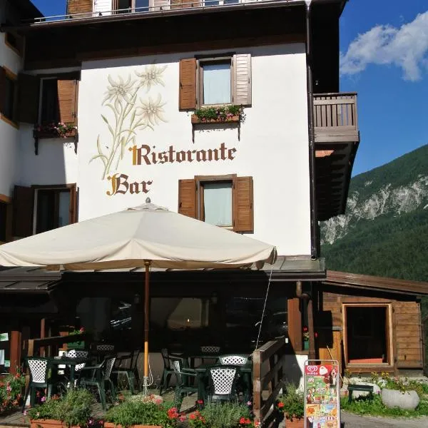 Albergo Stella Alpina，位于圣皮耶特罗迪卡多雷的酒店