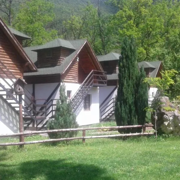 Vodopad Lisine，位于Žagubica的酒店