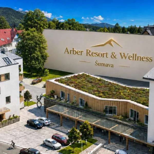 Arber Resort & Wellness Šumava，位于泽勒兹纳·鲁达的酒店
