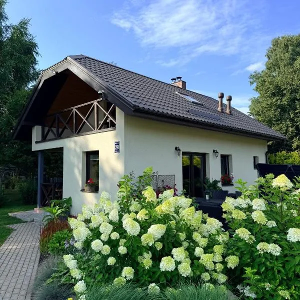 Laukakmeņu oāze - holiday house with sauna and hot tub，位于Tīnūži的酒店