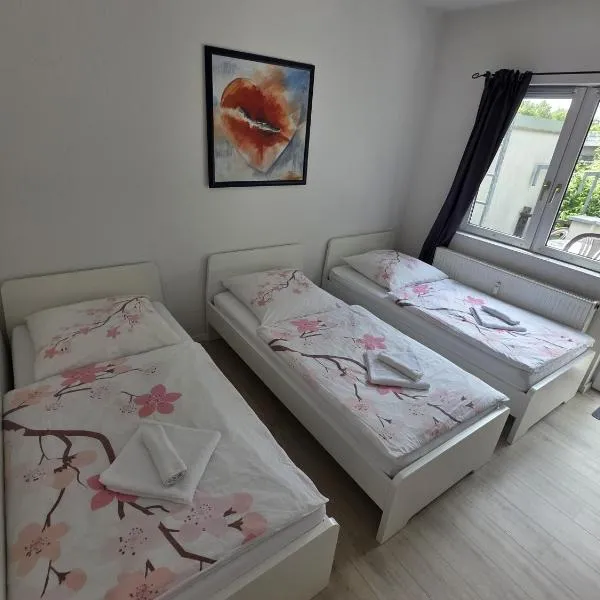 Ferdimesse Apartments,位于科隆的酒店