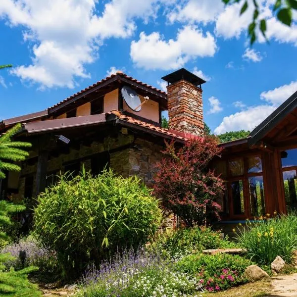 Traditional Cottage - Vila Samovila，位于Delčevo的酒店