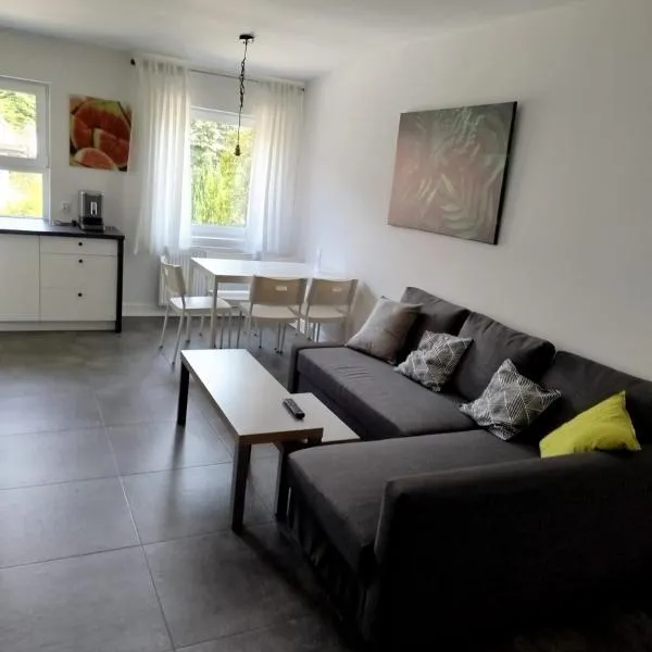 Villa Antonina Apartamenty z aneksem，位于恰普利内克的酒店