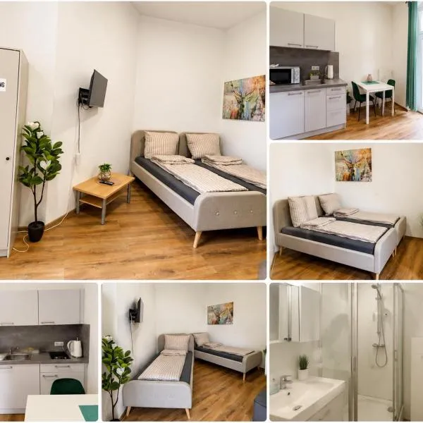Felix Appartment H1a,位于科布伦茨的酒店