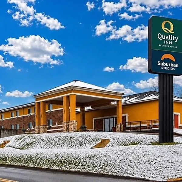 Suburban Studios,位于Moon的酒店
