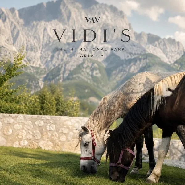 Vidis Chalet Boutique Hotel，位于泰斯的酒店