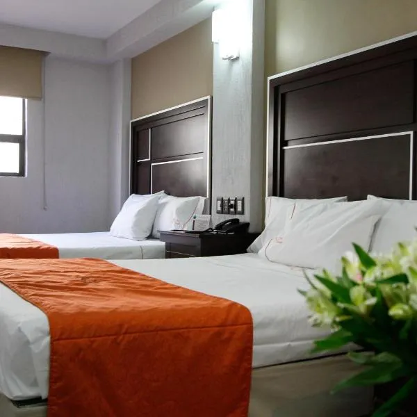 艾斯塔迪奥酒店，位于瓜达拉哈拉的酒店