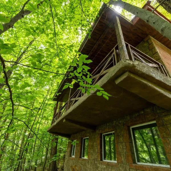 Maestro Rest House Dilijan，位于迪利然的酒店