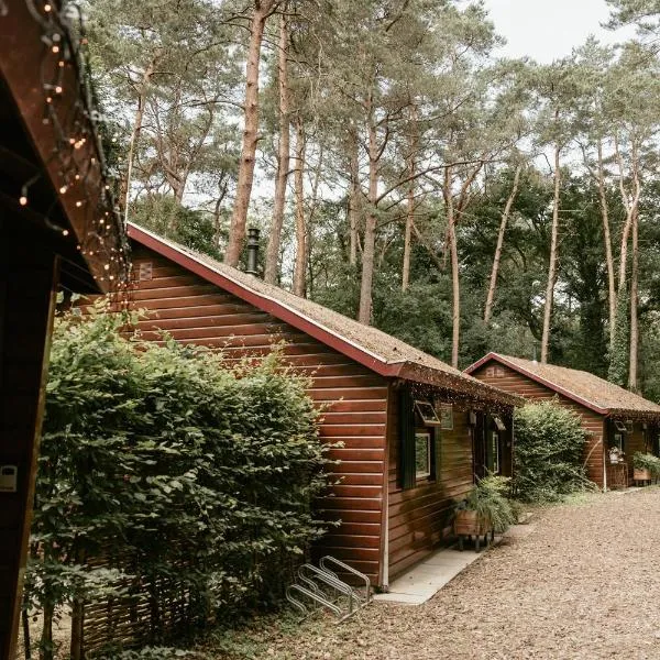 Cozy cottages by Bed en Boshuisjes，位于奥斯特韦克的酒店