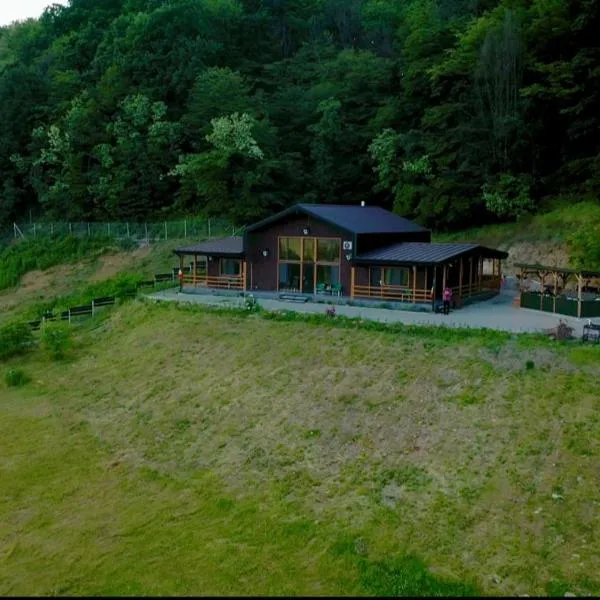 Casa cu Pădure，位于沃莱尼德蒙泰的酒店