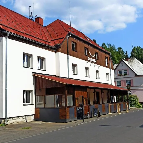 Hotel Schwarz，位于Nové Hamry的酒店