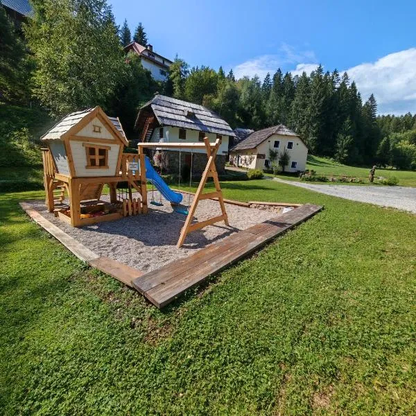 Turistična kmetija Povh，位于Prevalje的酒店