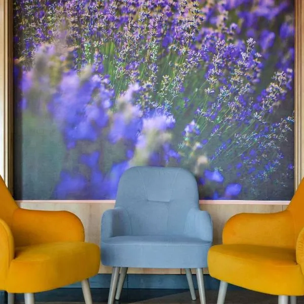 Mercure Medias Binderbubi Hotel And Spa，位于梅迪亚什的酒店
