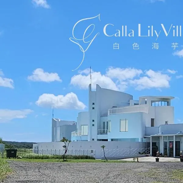 白色海芋Villa，位于南湾的酒店