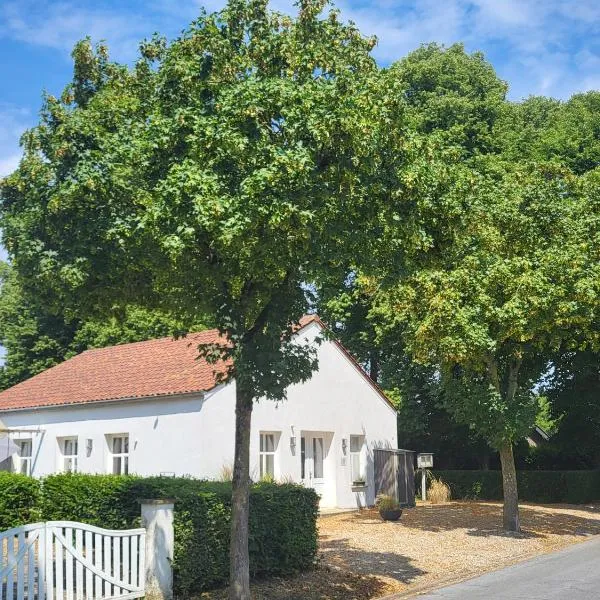 Ferienhaus an der Allee,位于卡尔卡尔的酒店