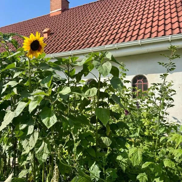 Langagergaard B&B - Thy，位于齐斯泰兹的酒店