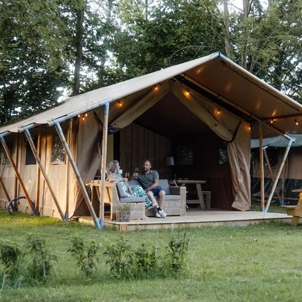 Minicamping Het Zuiderscheveld，位于Hollandscheveld的酒店