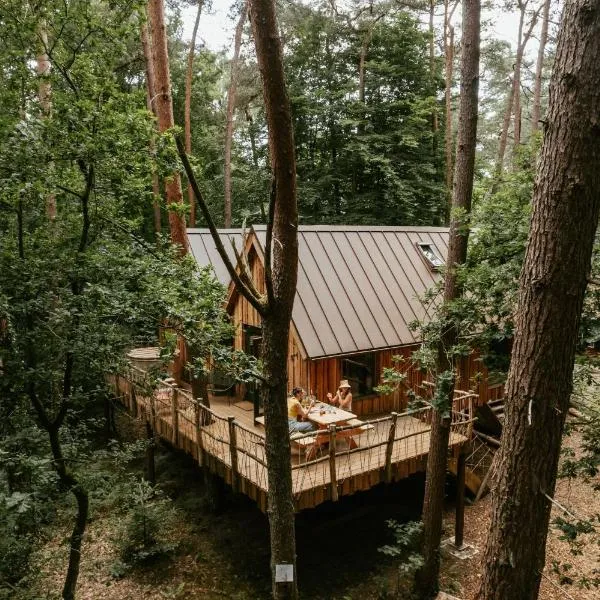 Unique treehouses with hot tub by Bed en Boshuisjes，位于奥斯特韦克的酒店