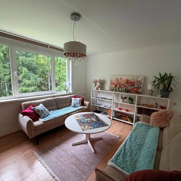 Apartment with sauna and fireplace，位于Viitna的酒店