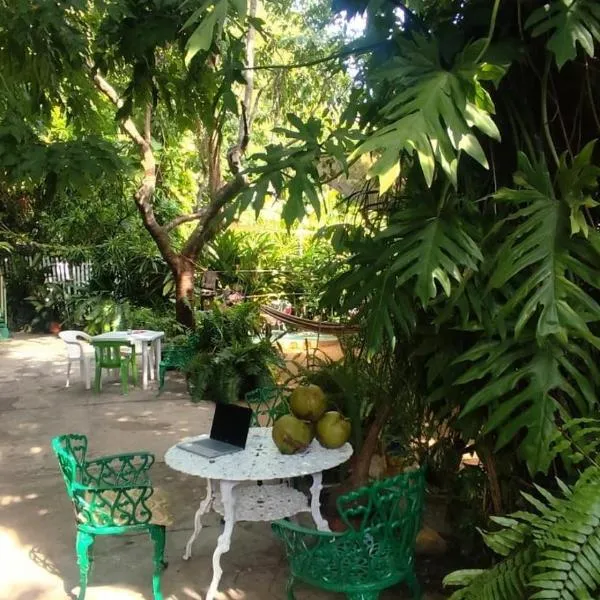 Jungle Palace hostal santaella 420，位于埃斯孔迪多港的酒店