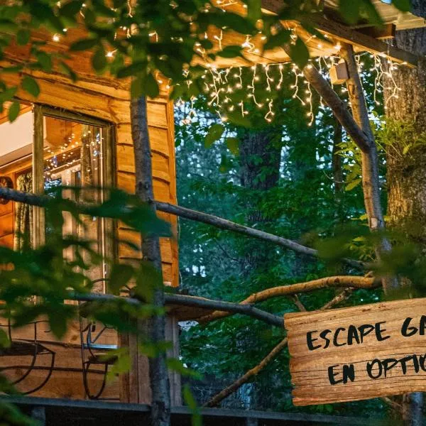 La cabane aux écureuils,位于菲利普维尔的酒店