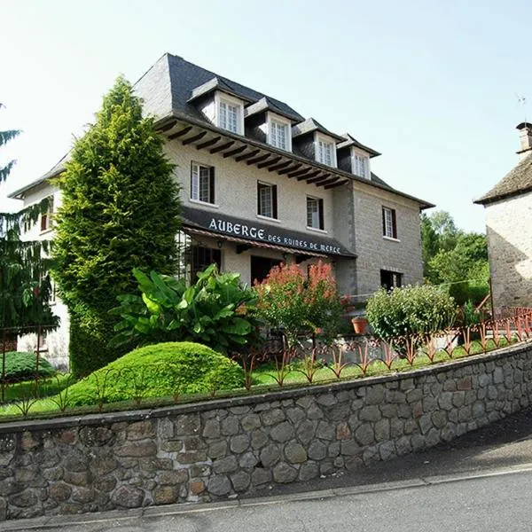 Auberge des Ruines de Merle，位于Saint-Cirgues-la-Loutre的酒店