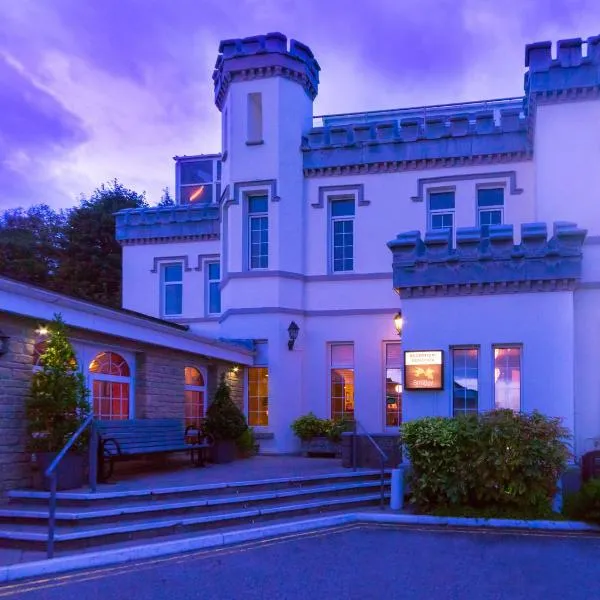 Stradey Park Hotel，位于Llanmorlais的酒店