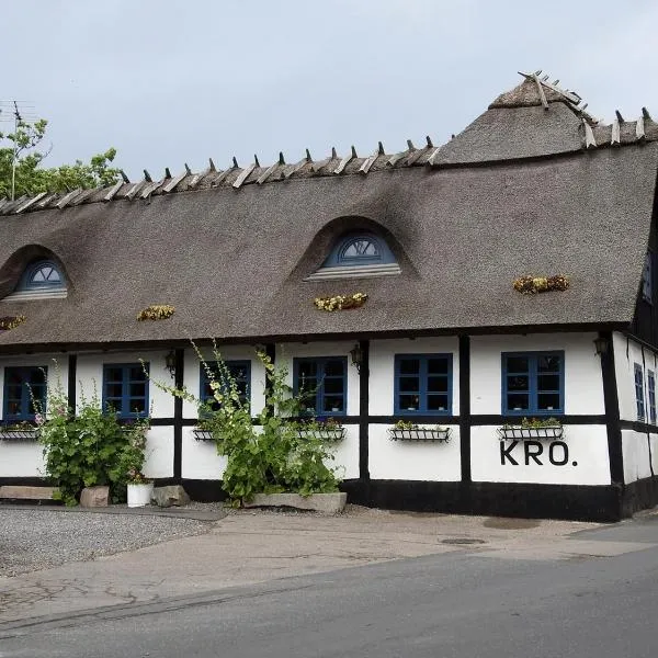Reersø Kro，位于Store Kongsmark的酒店