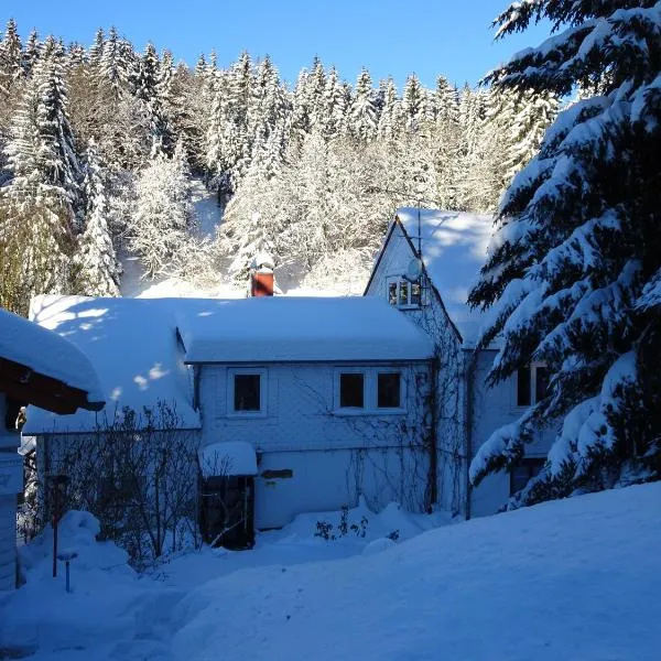 Ferienwohnung Bauer Alter Hammer，位于Sankt Kilian的酒店