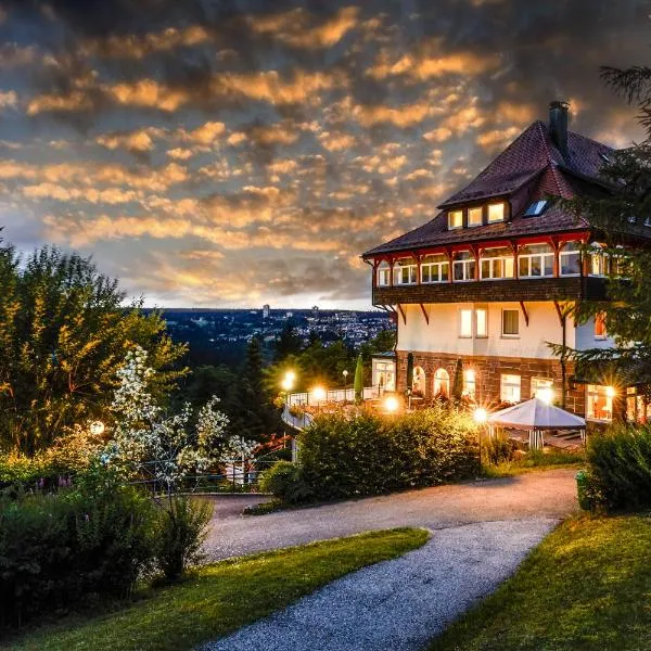 特赛瓦德酒店，位于Klosterreichenbach的酒店