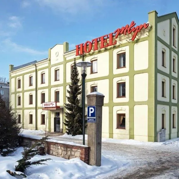 梅林酒店，位于Zemborzyce Tereszyńskie的酒店