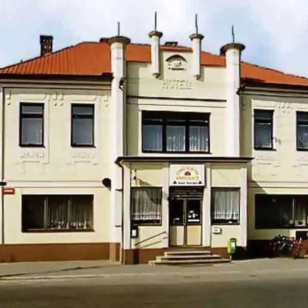 捷克克朗膳食公寓旅馆，位于Žleby的酒店