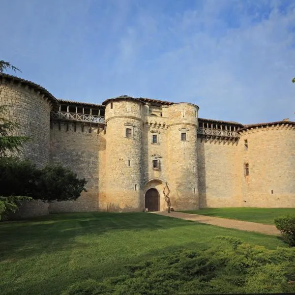 château de Mauriac，位于Le Verdier的酒店