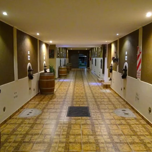 Apart Hotel La Bodega，位于Pedro Vargas的酒店