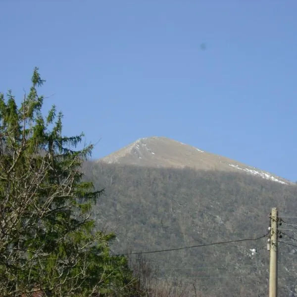 Holiday House " Family Radivojevic"，位于利塔尼的酒店